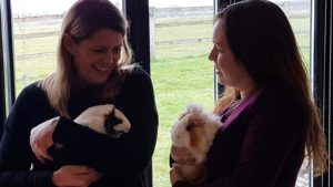 Clare and Sophie cuddling the guinea pigs